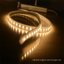 AC230V SMD5050 Portable Outdoor Use LED Strip Light